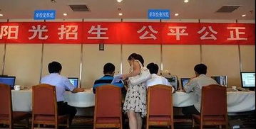 高招錄取正式啟動 石家莊市咨詢服務(wù)站電話公布，助力考生獲取關(guān)鍵信息